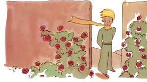 I read the little prince in french (le petit prince) a long time ago, when i was a child and still dreaming that the world was without flaw. Le Petit Prince Chapitre 20 Le Jardin De Roses Youtube