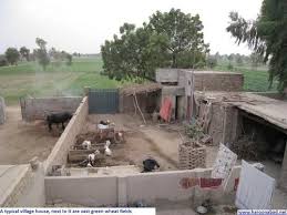 Inside A Villager S House