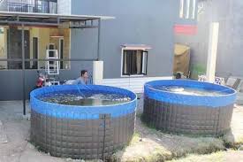 Kolam Bulat Terpal Bahan Orchid A20 Abadi Lele Jambi Facebook