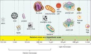 Colours indicate density of data. Viruses Microbiology