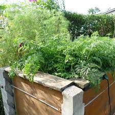 Pin On Gardeningtips