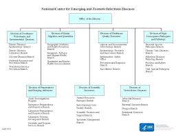 Microsoft Corporate Organization Chart Achievelive Co