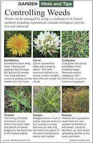 A broadleaf herbicide labeled for control of clover will be an effective tool to get rid of the clover in your yard. Clover Control Method Depends On Life Cycle Of The Weed Siouxland Homes Siouxcityjournal Com