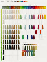 美容室専売品卸通販 IDC-BeautyHair  フィヨーレ BLカラー [4GNB] (120g)