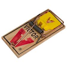 The victor metal pedal mouse trap is ideal for those who are looking for pest control while on a budget. Victor Professional Mouse Trap Wildlife Control Supplies Product Code Nws1701