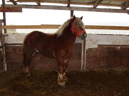 #768 dăm ba cái game dễ vcl sao làm khó được anh | game là d. Cai Grei Si Semigrei Vasygorby