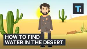 How does a cactus live without water? How To Find Water If You Re Ever Stuck In A Desert Youtube