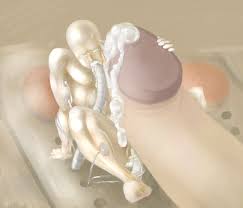 Rule34 - If it exists, there is porn of it  galactus, silver surfer   3142389