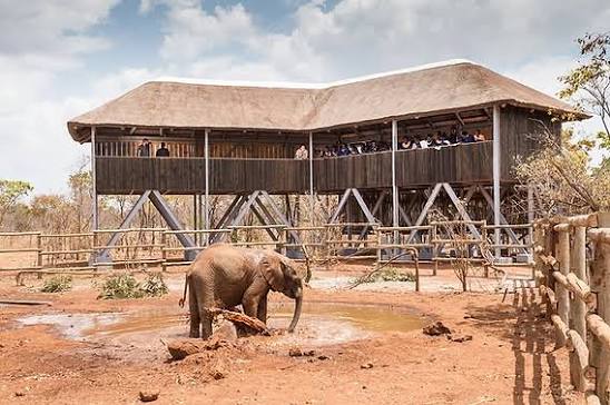 Zambia's newest national park offering a convenient escape for wildlife viewing, notably featuring a highly protected rhino sanctuary just outside the city.