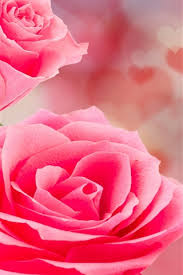 Maybe you would like to learn more about one of these? Pink Roses Love Hearts Background Romantic 1080x1920 Iphone 8 7 6 6s Plus Wallpaper Background Picture Image