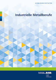 3 ½ jahre die ausbildung findet an den lernorten betrieb und berufsschule statt. Https Www Bibb De Veroeffentlichungen De Publication Download 9358