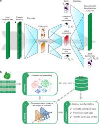 Objects are not to scale and many of them would not be. Searching Large Scale Scrna Seq Databases Via Unbiased Cell Embedding With Cell Blast Nature Communications