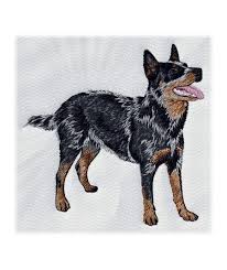 Image result for norský losí pes šedý