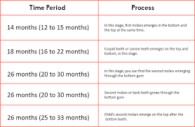 teething timeline baby and toddler teething timeline