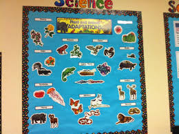 Plant And Animal Adaptations Mini Bulletin Board Set Animal Adaptations Fun Lessons Bulletin Board Sets