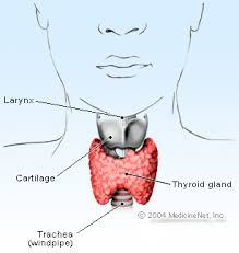 Hyperthyroidism Causes Symptoms Test Diagnosis Treatment