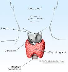 Hyperthyroidism Causes Symptoms Test Diagnosis Treatment