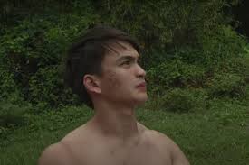Dominic karl roque (born july 20, 1990) is a filipino actor and model. Dominic Roque