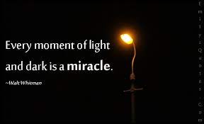 Every Moment Of Light And Dark Is A Miracle Popular Inspirational Quotes At Emilysquotes Light In The Dark Reflection Quotes Light Quotes