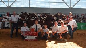 National rouge des prés : volumes et longueurs récompensés