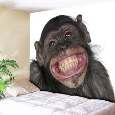 Discover quality animals big teeth on dhgate and buy what you need at the greatest convenience. Monkey Snout Teeth Smile Wall Tapestry 3d Animals Decorative Tapestry Wall Hanging Art Decor For Kids Bedroom Wall Picture Big Tapestry Aliexpress