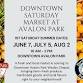Downtown Saturday Market at Avalon Park event image