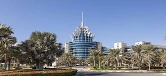 Dubai Silicon Oasis Free Zone License Cost - Cost-Friendly Local Team