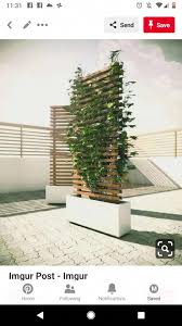 Garden Canes Argos Gardenvines Jardineras Modernas Diseno De Jardin Jardineras Exterior