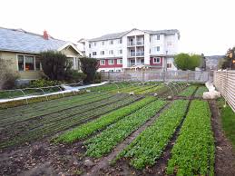 (classes used in njdep mapping programs shown in bold). Greencityacres5 Curtis Stone Founder Of Green City Acres Grosses Over 80k Working 3 Seasons Out O Commercial Farming Vertical Farming Square Foot Gardening