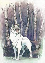 Continental drift', facing the hungry wolf from disney's version of 'peter and the wolf'. 900 Wolves Ideas Wolf Art Anime Wolf Fantasy Wolf