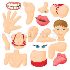 We did not find results for: Human Body Parts Icons Set In Cartoon Stock Vector Colourbox
