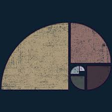 To create and format a new partition (volume) open computer management by selecting the start button. Distressed Geometric Fibonacci Spiral Men S Perfect Tee By Ddtk Design By Humans Fibonacci Spiral Fibonacci Geometric