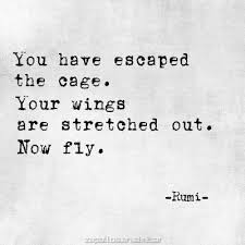 Poet Ponderings Poetry Quotes Haiku Rumi Fly Words Quotes Quotes Rumi Quotes