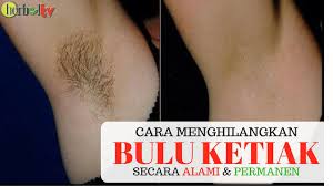 Cara menghilangkan bau badan yang ketujuh adalah dengan menggunakan sari lemon. Cara Menghilangkan Bulu Ketiak Secara Alami Permanen Youtube