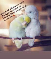 pin su guzel sozler