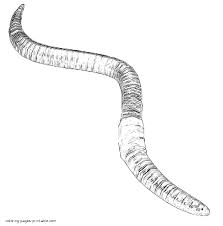 You will get 1 earthworm coloring page in jpg (2550px x 3300px) for your kids coloring project. Earth Worm Coloring Page Novocom Top