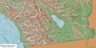 Image result for Dignathia gracilis