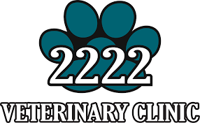 We are a modern and inviting hospital boasting superb veterinarians, and numerous caring support staff dedicated to our patients, clients, and community. Home Veterinarian In Austin Tx 2222 Veterinary Clinic