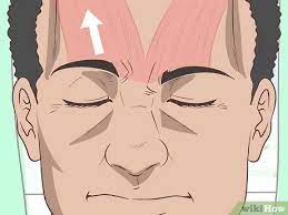 Comment Faire Bouger Ses Oreilles 12 Etapes
