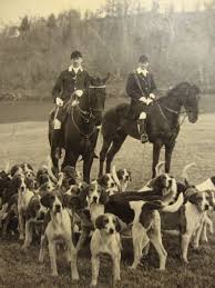 Full Cry A Hound Blog Life Off Leash With Working Pack Hounds Page 13 The Fox And The Hound Horses And Dogs Horses