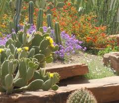 Anant tank 26/12/2017 at 8:30 am reply. Botanical Cactus Garden Visiting The Factory Cactus Garden Garden Visits Desert Plants