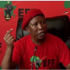 Julius malema, who has previously referred to former president jacob zuma as duduzane's father in parliament instead of as president, says all is forgiven. 5cx6imxz0h8dcm