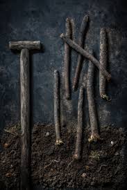 Reflux can make us gassy, so foods Salsify Risotto Delicious And Healthy Thanks To Inulin
