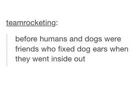 Check spelling or type a new query. Funny Tumblr Questions 17 Things You Ve Never Thought About Before