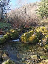 It is located only a 40 minute drive away from abelenda bike rental and is most definitely worth a visit. Caramulo Picture Of Caramulinho Caramulo Tripadvisor