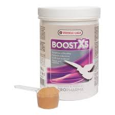 Buy Versele-Laga Oropharma Boost X5 Power & Stamina Powder for Pigeons,  500gm Online at Low Price in India - Puprise