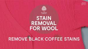Tannin stains have an acidic value, and can be treated with a mix of water and vinegar. How To Remove Stains From Wool Clothes Black Coffee Youtube