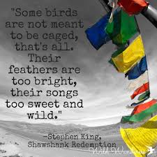 Birds Of A Feather Lyrics Some Birds Are Not Meant To Be Caged That S All Their Feathers Are Too Bright Their Songs Too Sweet And Steven King Quotes King Quotes Stephen King Quotes