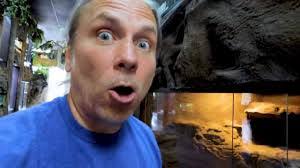 Shane Fender's Instagram, Twitter & Facebook