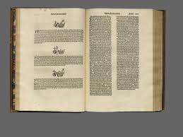 Image result for Epistemma neuerburgii